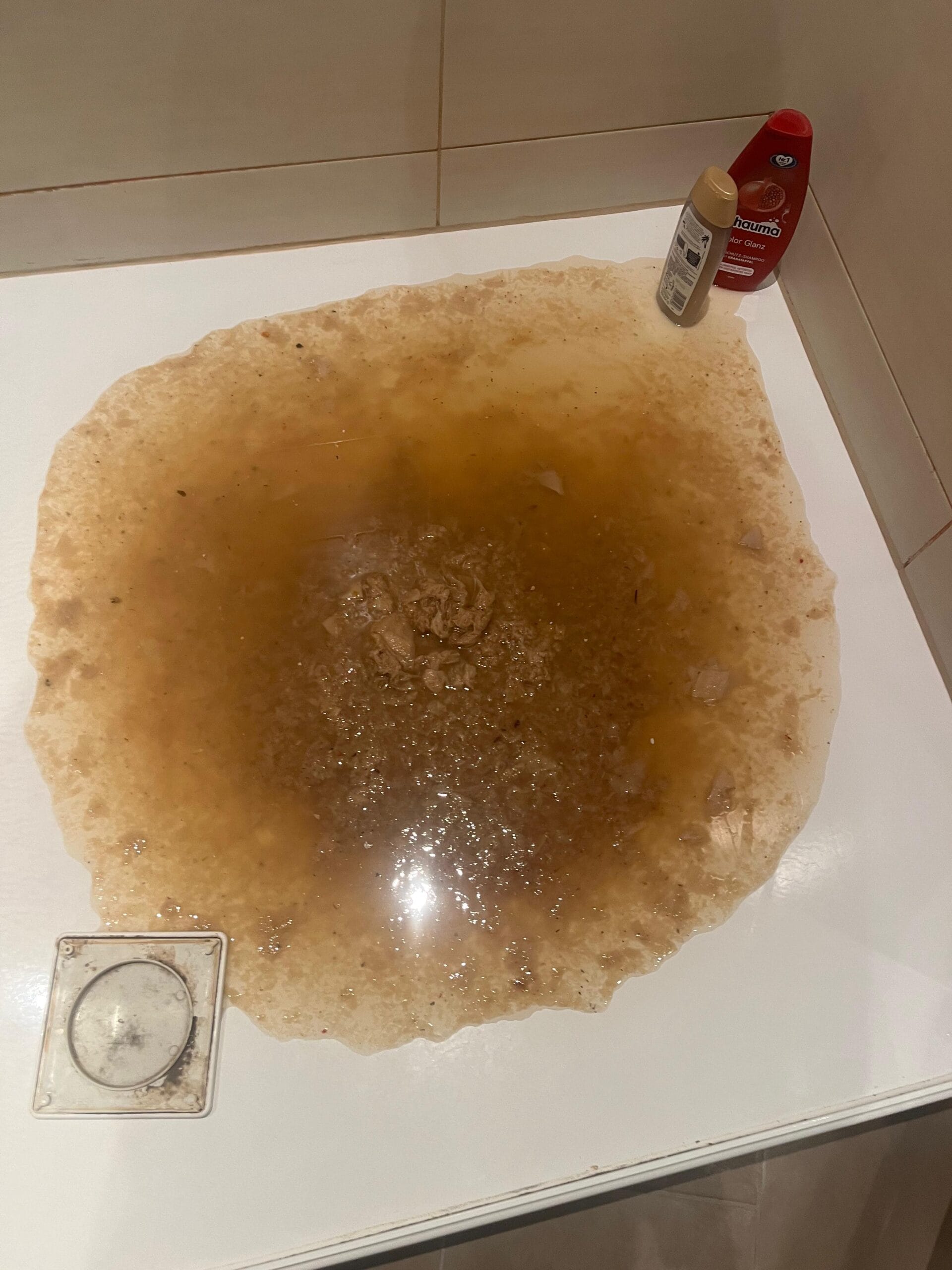 Rohrreinigung Notdienst nach Verstopfung in der Dusche